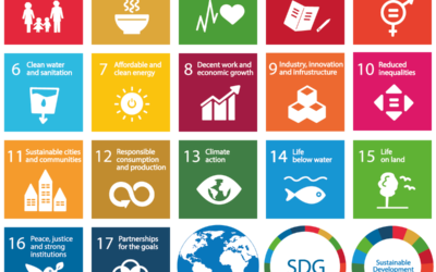Die Rolle der SDGs bei der Mitarbeiter­bindung